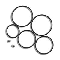 Steampipes Cabeo DL Verdampfer