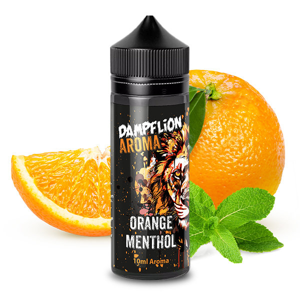 Orange Menthol Aroma Dampflion Intense