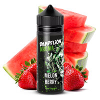Melon Berry Aroma Dampflion Intense